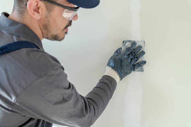 Best Wallpaper Removal and Painting  in Millville, UT