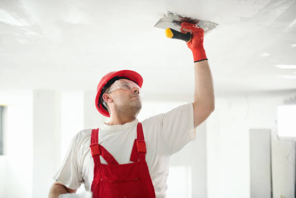 Best Commercial Painting  in Millville, UT